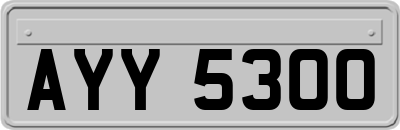 AYY5300