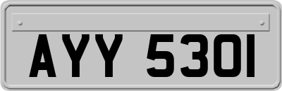 AYY5301