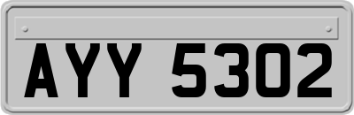 AYY5302