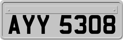 AYY5308