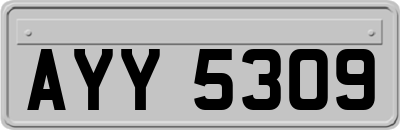 AYY5309
