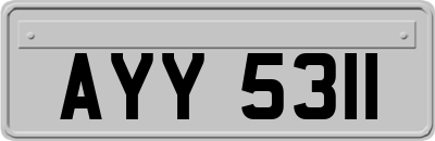 AYY5311