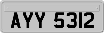AYY5312