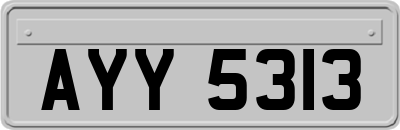 AYY5313