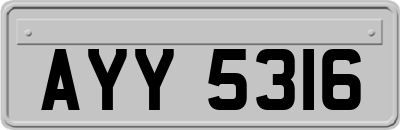 AYY5316