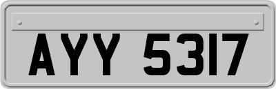 AYY5317