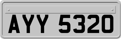AYY5320