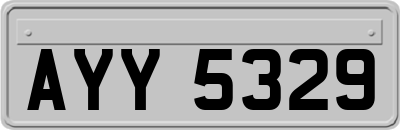 AYY5329