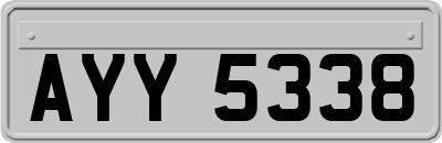 AYY5338