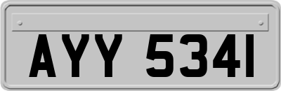 AYY5341