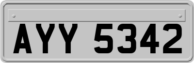 AYY5342