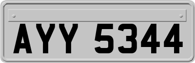 AYY5344