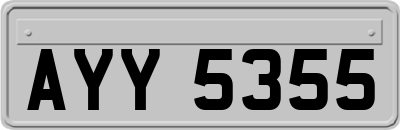 AYY5355