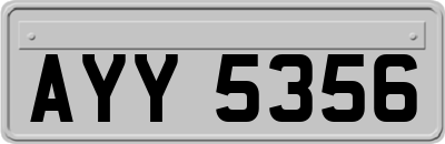 AYY5356