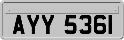 AYY5361