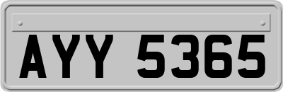 AYY5365