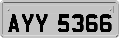 AYY5366