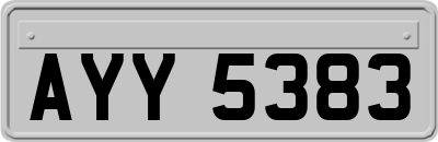 AYY5383