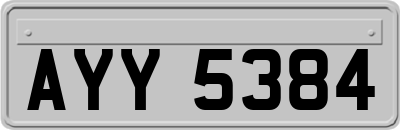AYY5384