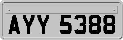 AYY5388