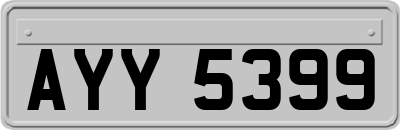 AYY5399