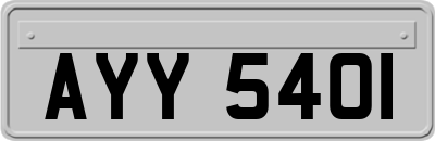 AYY5401