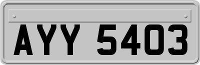 AYY5403
