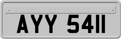 AYY5411
