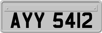 AYY5412