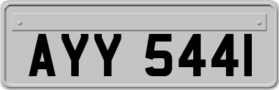 AYY5441
