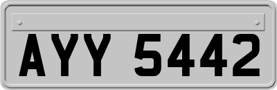 AYY5442