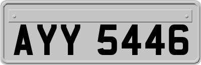 AYY5446