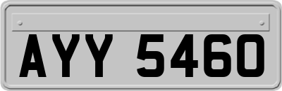 AYY5460