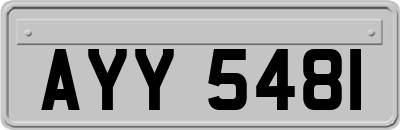 AYY5481