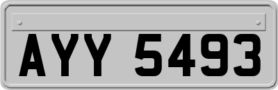 AYY5493