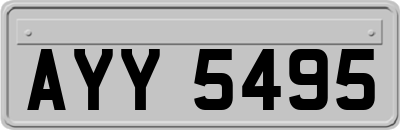 AYY5495