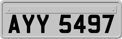AYY5497