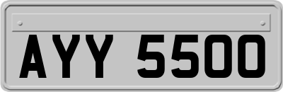 AYY5500