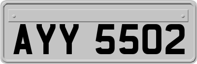 AYY5502