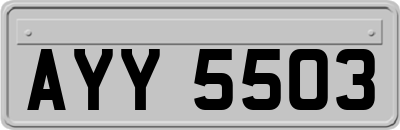AYY5503