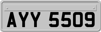 AYY5509