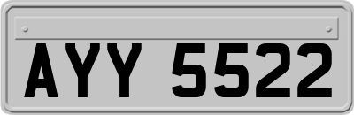 AYY5522