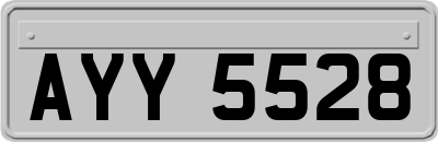 AYY5528