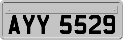 AYY5529
