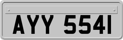 AYY5541