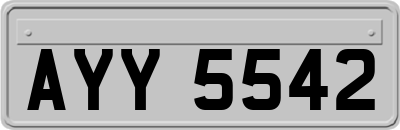 AYY5542