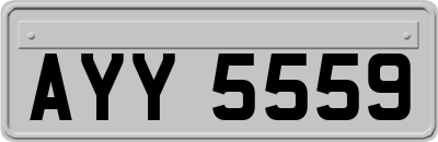 AYY5559