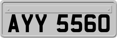 AYY5560