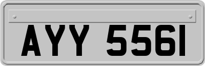 AYY5561