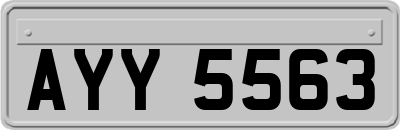 AYY5563